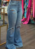 Lavish Perfect Denims